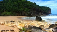 Pantai Kayu Arum