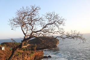Pantai Kesirat, Debur Ombak & Pesona Matahari Terbenam