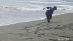 Pantai Lama Muda yang Asyik Buat Piknik di Aceh