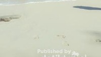 Dari pinggir pantai kita bisa melihat perbedaan gradasi laut