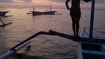 Pantai, Lumba-lumba & Sunrise, Liburan Sempurna di Bali