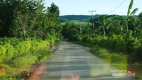 Jalan menuju Pantai Mananga Aba