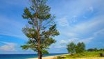 Pantai Mananga Aba, Sisi Menawan Sumba Barat Daya
