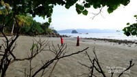 Jika datang ke Trenggalek jangan lupa datang ke Pantai Mutiara