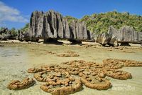 Pantai Namlol Yang Unik Ini Ada Di Raja Ampat