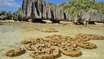 Pantai Namlol yang Unik Ini Ada di Raja Ampat