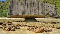 Batuan karst yang terlihat secara keseluruhan saat air surut