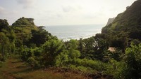 Terlihat Pantai Ngetun dari sela-sela pepohonan