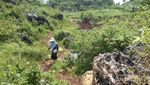 Pantai Ngrumput, Serasa Liburan di Pantai Pribadi