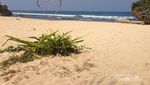 Pantai Ngrumput yang Tersembunyi di Gunungkidul
