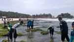 Pantai Paling Terkenal di Pacitan, Kamu Sudah ke Sini?