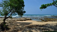 karang taraje