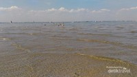 Pantai Appley yang bersih dan jernih