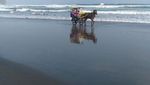Pantai Parangtritis Memang Tak Ada Duanya