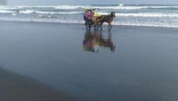 Kerta kuda di Pantai Parangtritis