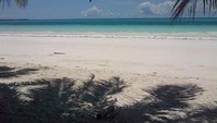 pantai pasir panjang di tual maluku tenggara
