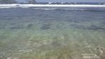 Pantai Peh Pulo, Sekeping Surga di Blitar