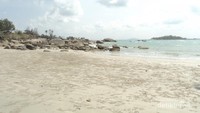 Pantai yang luamayan luas, dengan sebuah pulau.