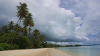 Lanskap pantai memanjang dengan tumbuhan pohon kelapa pada sisinya