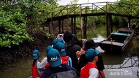Pulang melewati aliran sungai diantara hutan mangrove yang lebat
