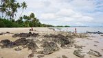 Pantai Perawan di Kepulauan Riau