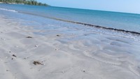 Pasir Putih