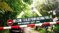 Pintu masuk TNAP (Chya Lucia/dtraveler)