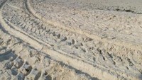 Pantainya yang putih bersih menjadikan pantai ini menjadi favorit wisatawan