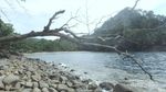 Pantai Rahasia di Maluku yang Jarang Orang Tahu