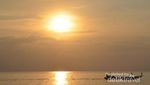 Pantai Senggigi, Kado Terindah Saat Valentine