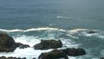 Pantai Siung, Kecantikan Gunungkidul yang Mulai Termashyur