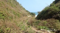 Jalan menuju pantai