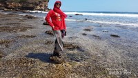 Pesona Pantai Suwuk