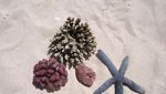 Pantai Sweqhel dan cerita unik lainnya