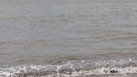 Pantai Syiah Kuala dengan pemandangan Pulau Weh Sabang.