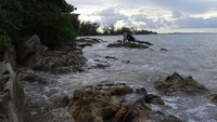 Karang di Pantai Tanjung Bunga