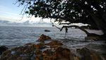 Pantai Tanjung Bunga, Salah Satu Pesona Bangka