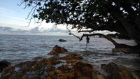 Cantiknya Pantai Tanjung Bunga