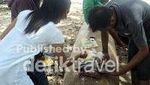 Pantai Tanjung Karoso yang Spektakuler di Sumba