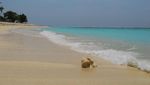 Pantai Tanjung Karoso yang Spektakuler di Sumba