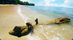 Pantai Tanjung Kasuari, Bagai Oase di Papua