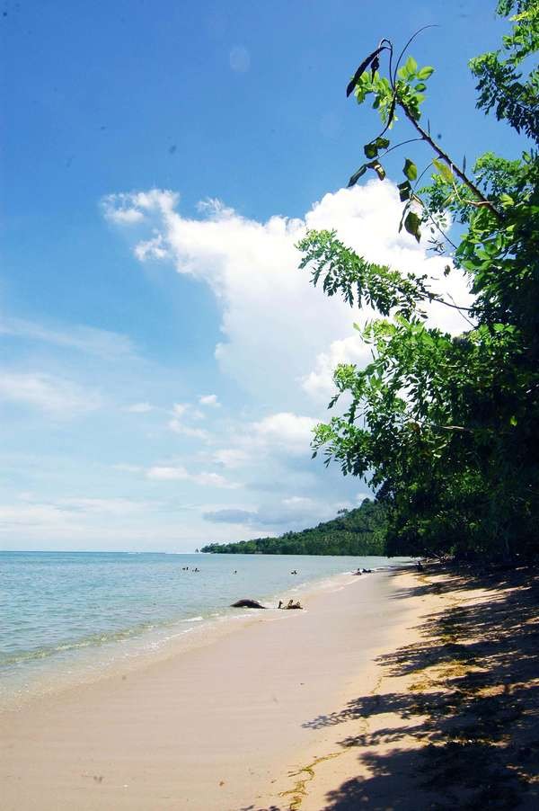 Pantai Tanjung Kasuari, Bagai Oase di Papua