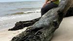 Pantai Tanjung Keluang yang Bikin Rindu Kalimantan