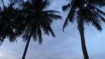 Pantai Tanjung Pinggir, Tempat Mengintip Singapura dari Batam