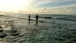 Pantai Tanjung Setia di Lampung, Surga Peselancar Dunia