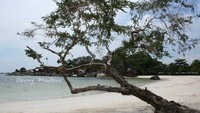 Tergodakah Anda? (Danny Maulana/dtraveler)