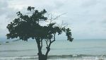 Pantai Teluk Uber di Bangka, Untuk Liburan Hingga Bulan Madu