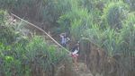 Pantai Trenggole, Si Perawan di Gunungkidul