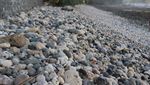 Pantai Unik di Pacitan, Isinya Batu Kerikil Besar-besar