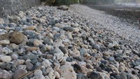 Batu-batu kerikil aneka warna dan ukuran terhampar di pantai